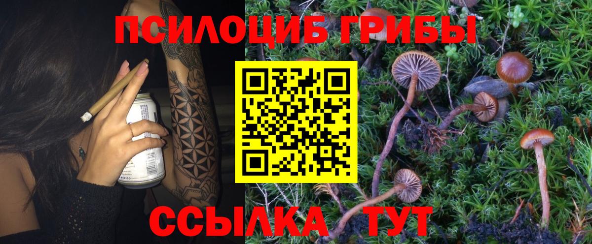 Галлюциногенные грибы MAGIC MUSHROOMS  Вход с VPN  Добрянка 