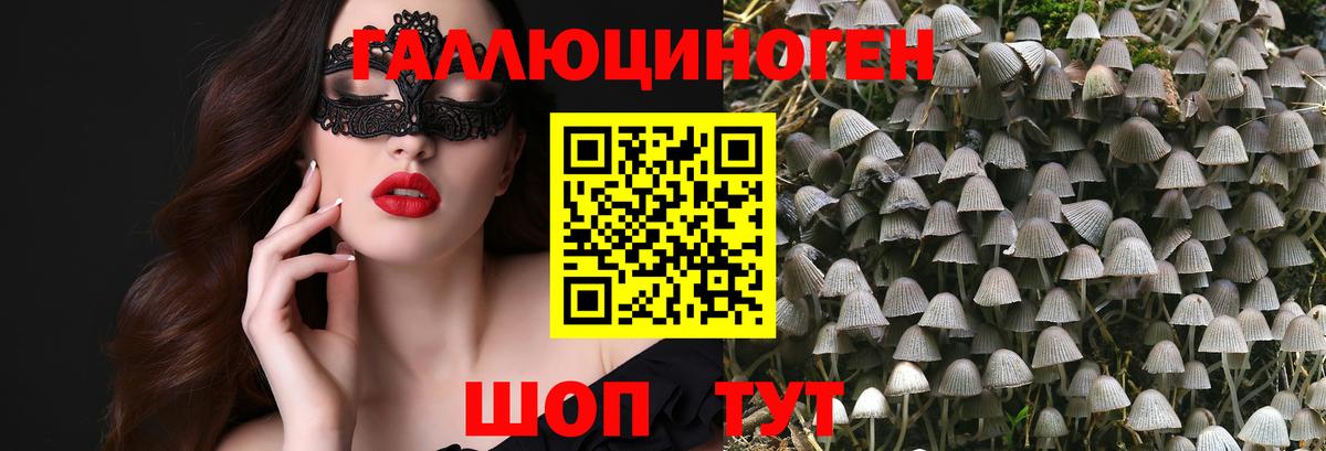 Галлюциногенные грибы Cubensis Добрянка